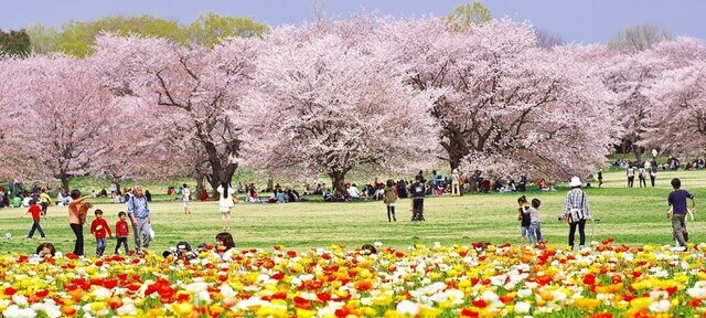 昭和記念公園・立川